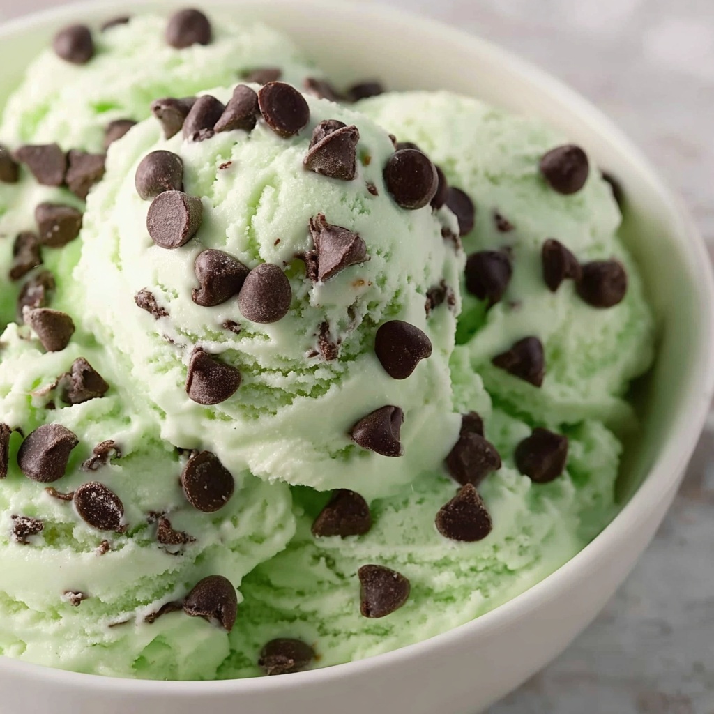 Mint Chocolate Chip Dip Recipe - Recipe Image
